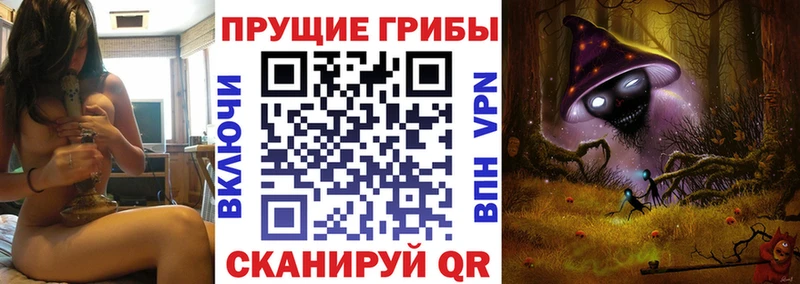 продажа наркотиков  Куйбышев  блэк спрут сайт  Галлюциногенные грибы Psilocybe 