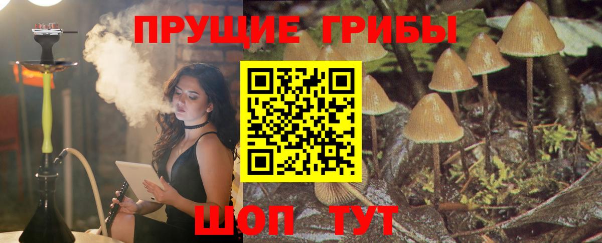 Галлюциногенные грибы Cubensis  Вход с VPN  Галлюциногенные грибы Cubensis  Куйбышев 