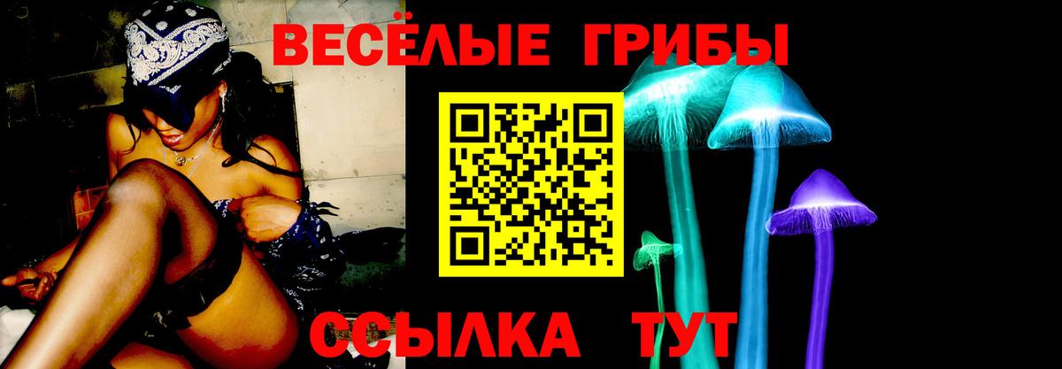 Псилоцибиновые грибы Psilocybine cubensis Куйбышев
